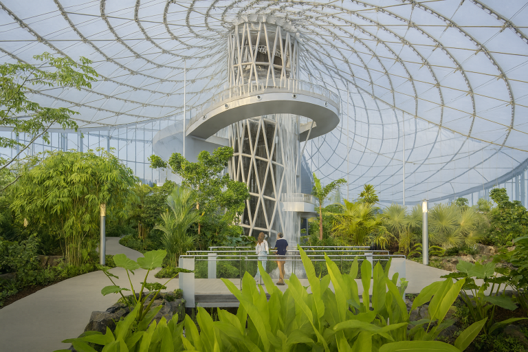 Tree Column Etfe ETFE roof & ETFE roofing – What is an ETFE roof? Lightspan - Lightspan