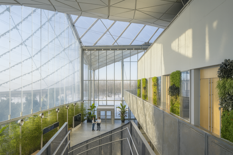 Tree Column Etfe ETFE roof & ETFE roofing – What is an ETFE roof? Lightspan - Lightspan