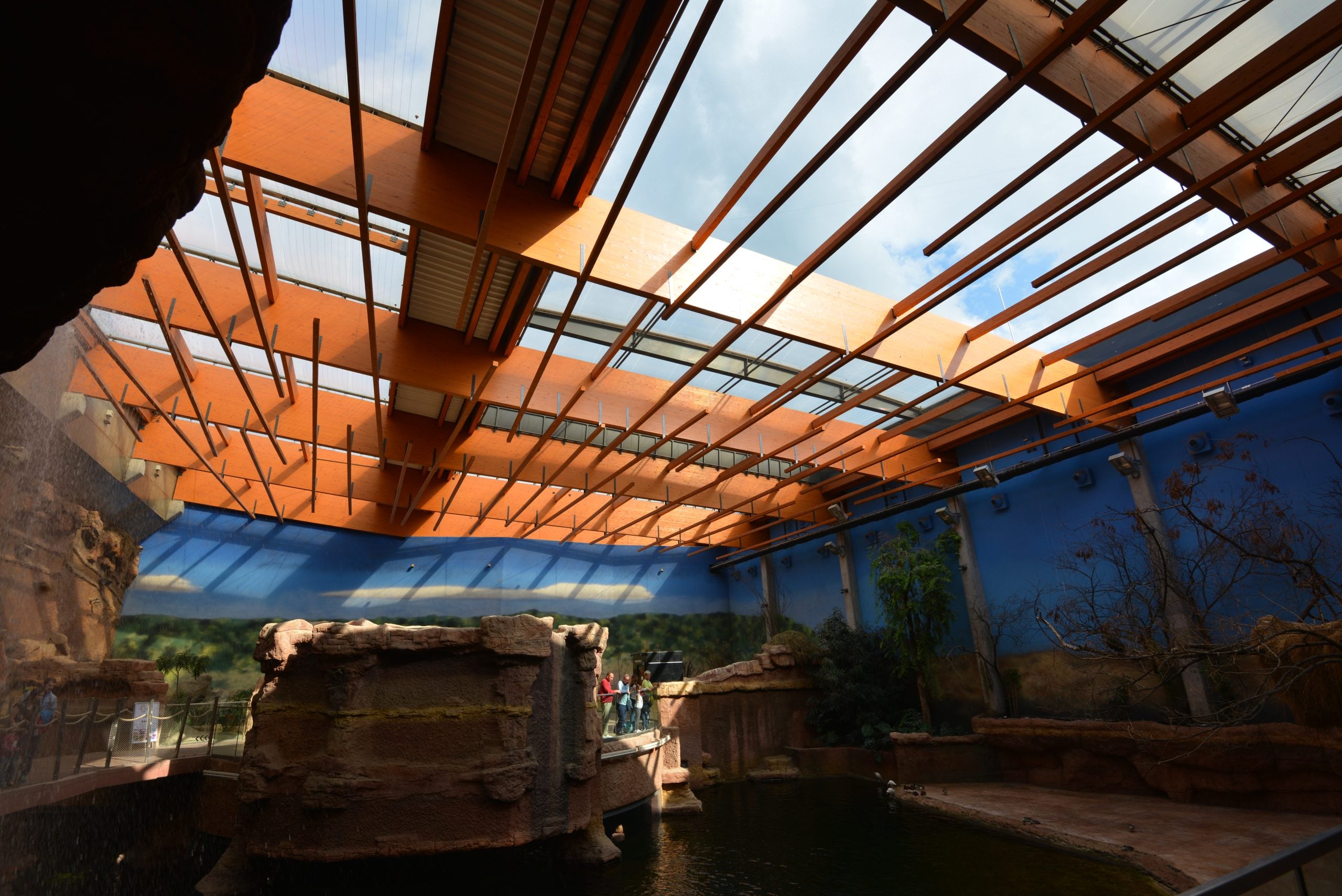 ETFE Roof from below