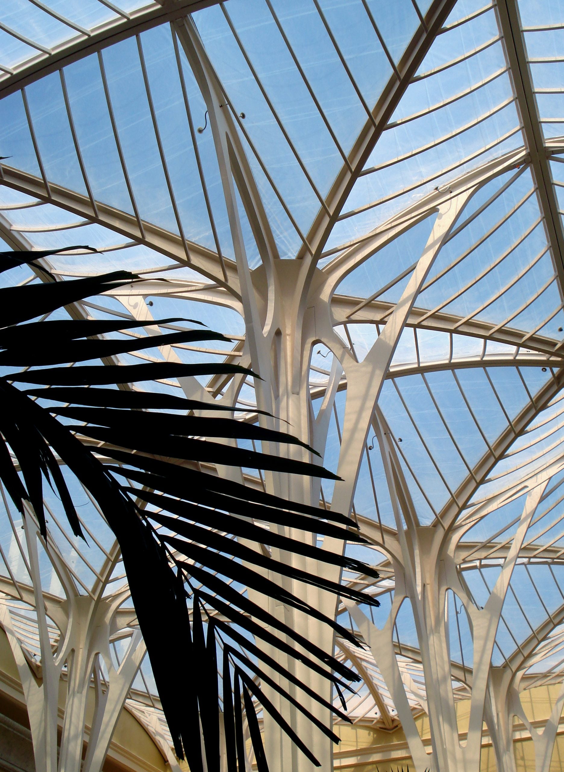 ETFE Roof from the inside