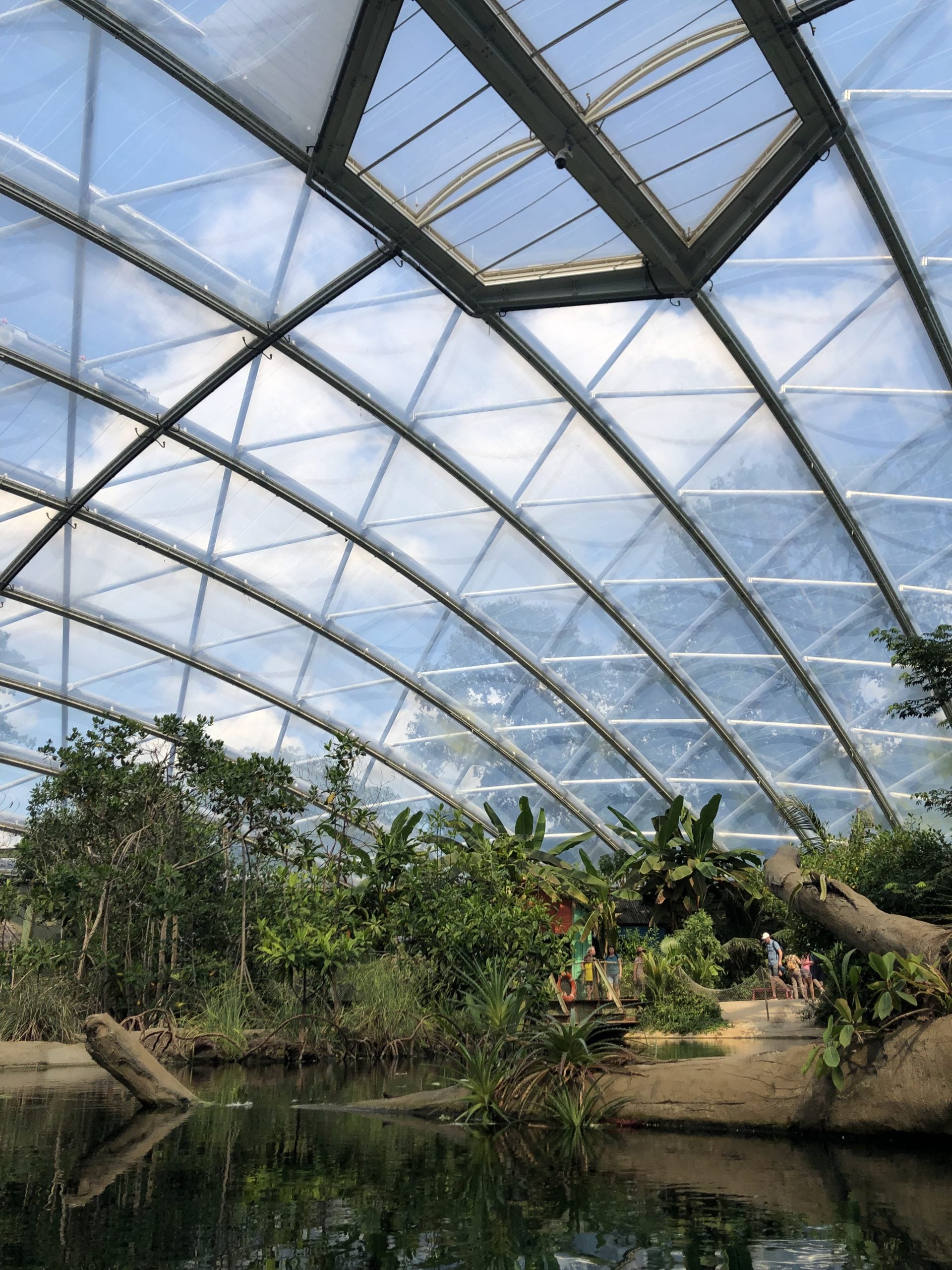 ETFE Dome from inside